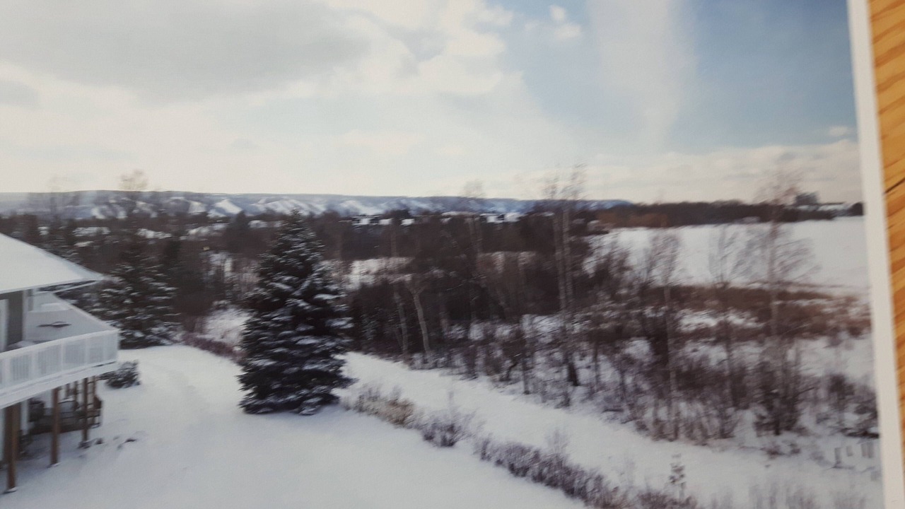 Photo of Outdoor in Collingwood