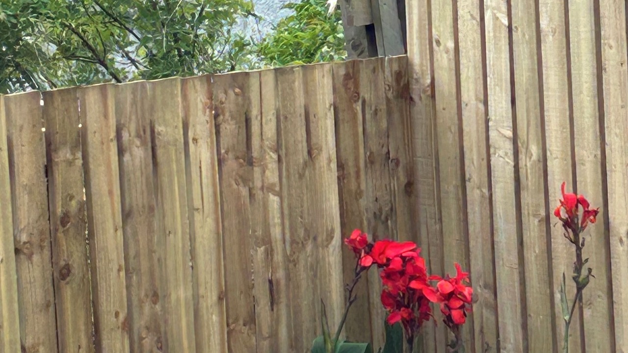 Photo of Outdoor in St Monans