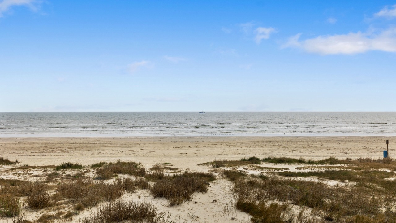 Photo of Others in Galveston