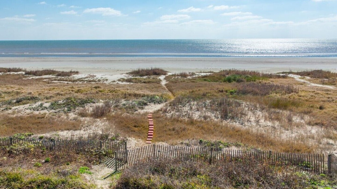 Photo of Others in Galveston