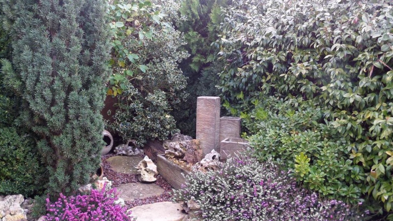 Photo of Outdoor in Sos del Rey Catolico