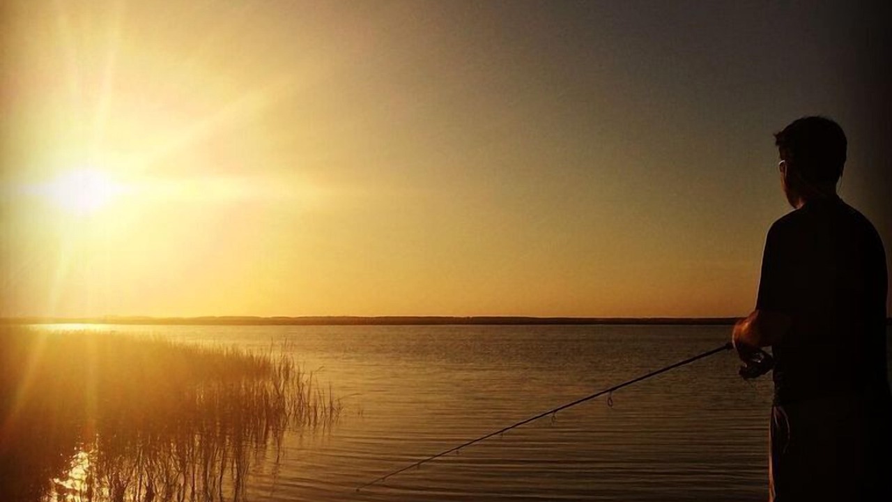 Photo of Others in Carrabelle