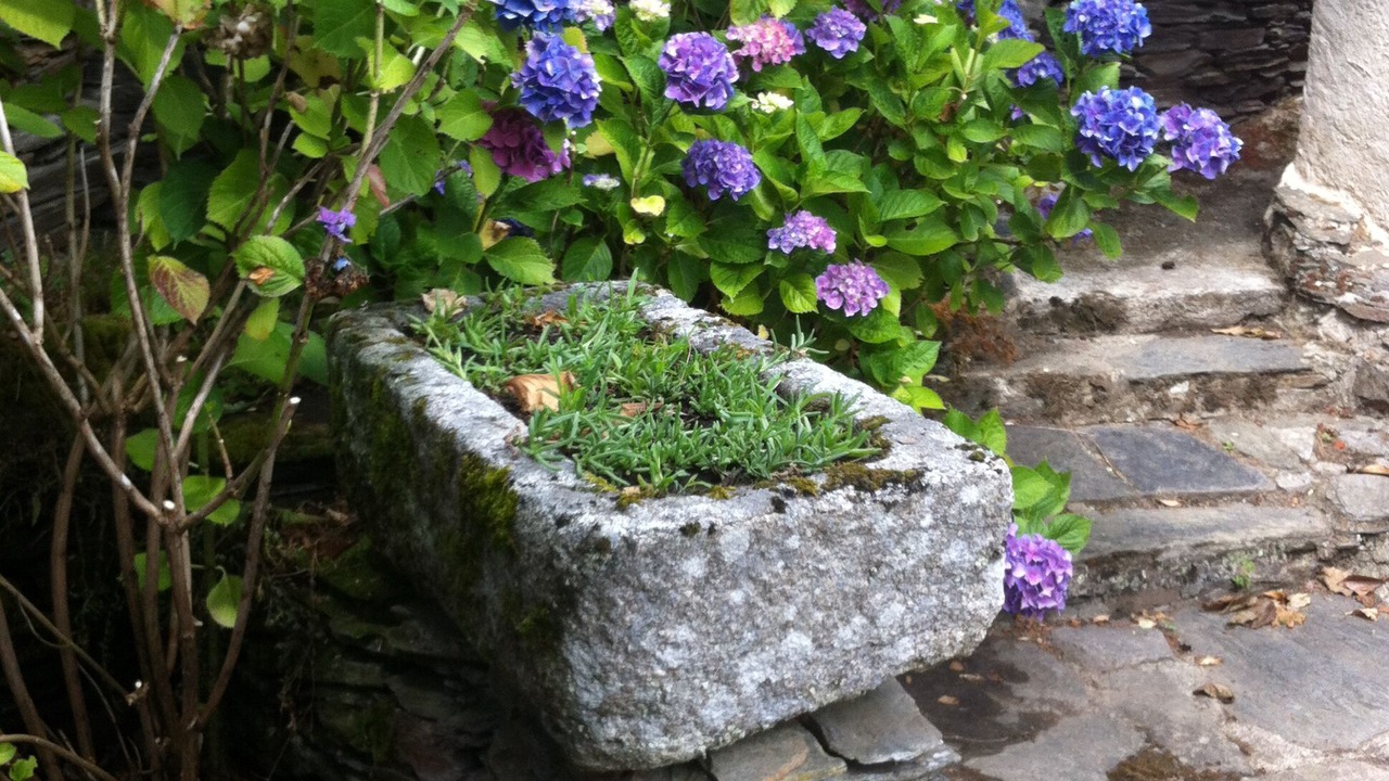 Photo of Outdoor in Roquefere