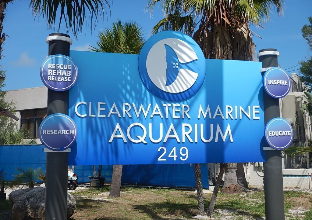 Photo of Others in Clearwater Beach