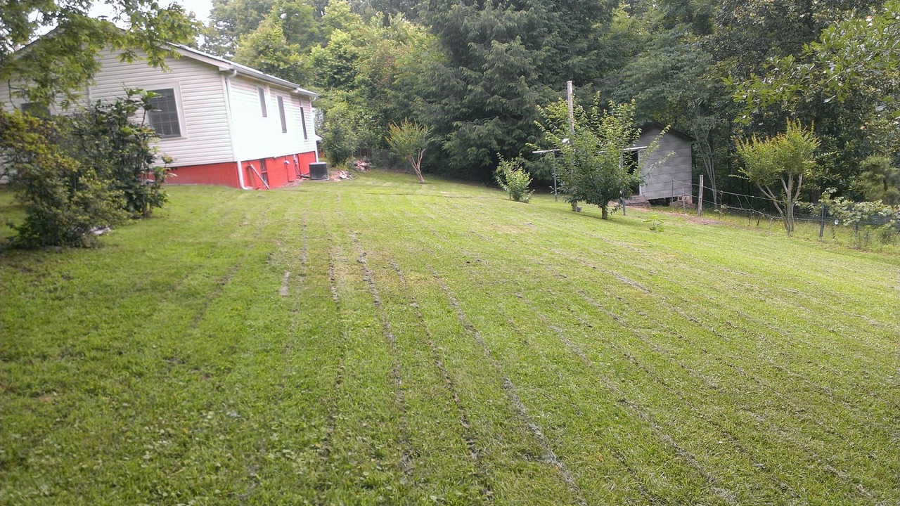 Photo of Others in Toccoa