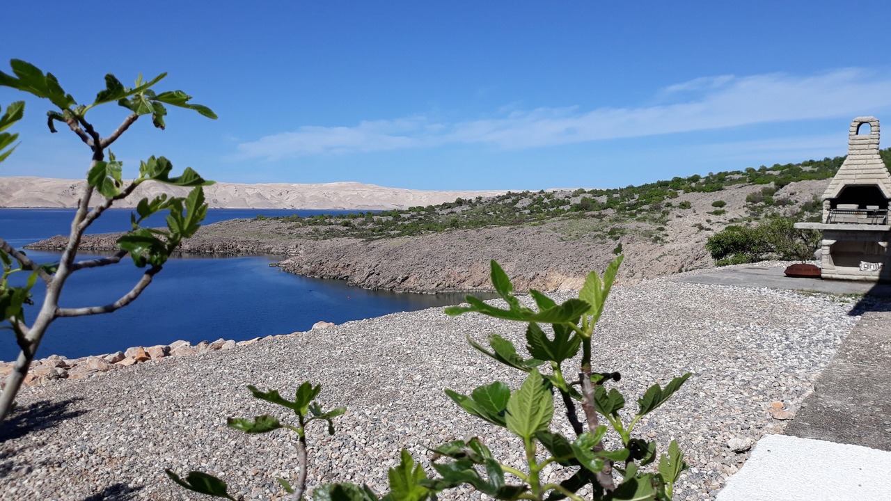 Photo of Outdoor in Cesarica