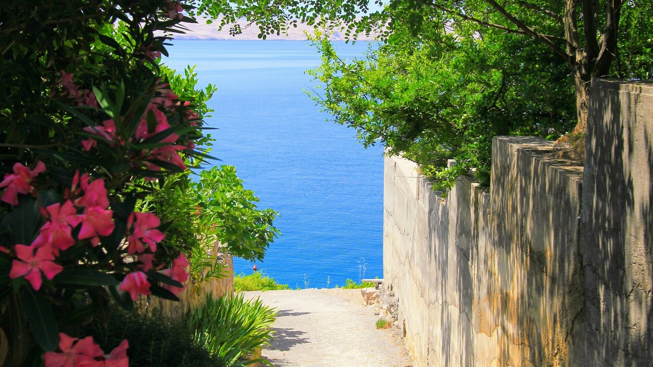 Photo of Outdoor in Cesarica