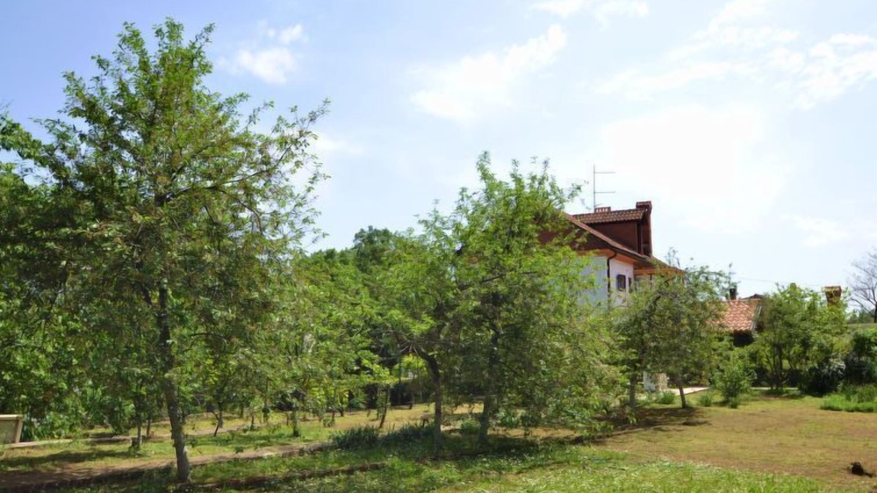 Photo of Outdoor in Opric