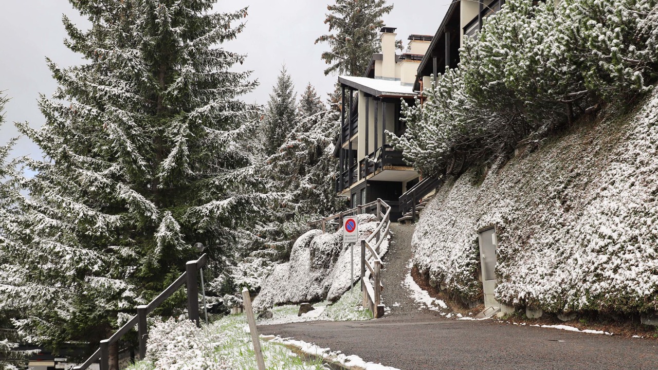 Photo of Others in Alpe des Chaux