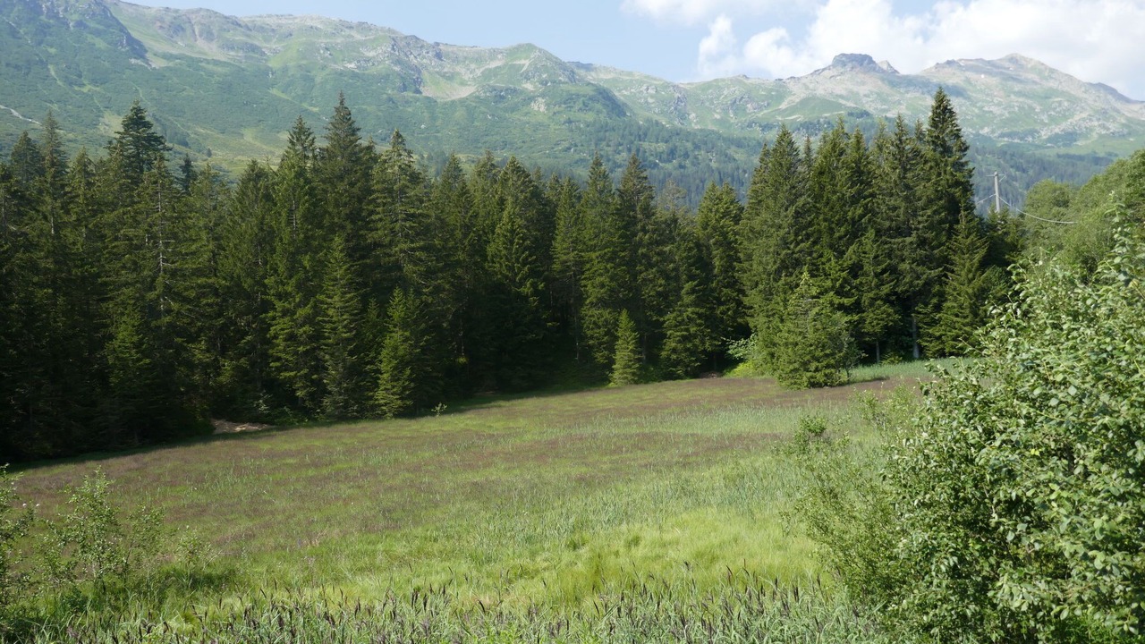Photo of Others in Leontica