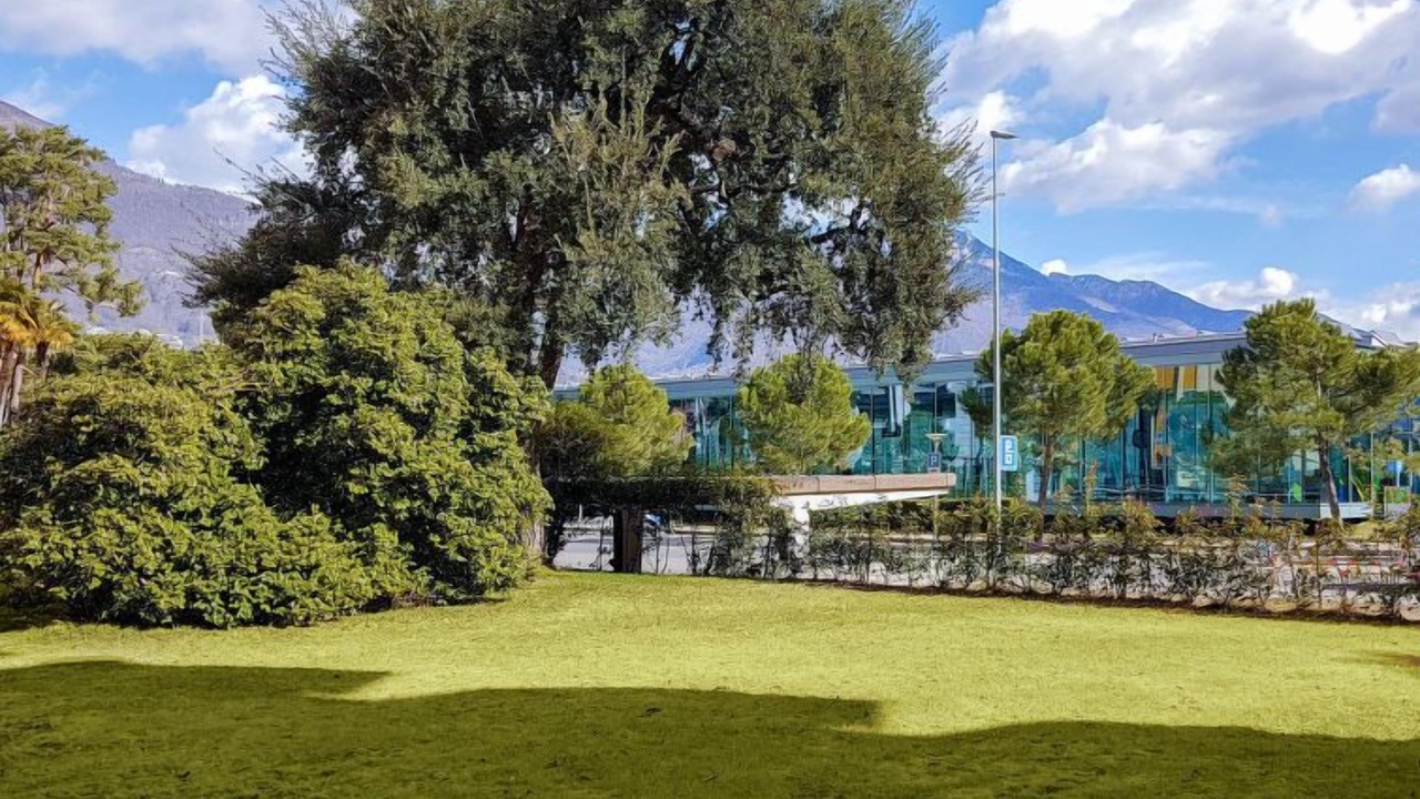 Photo of Others in Locarno