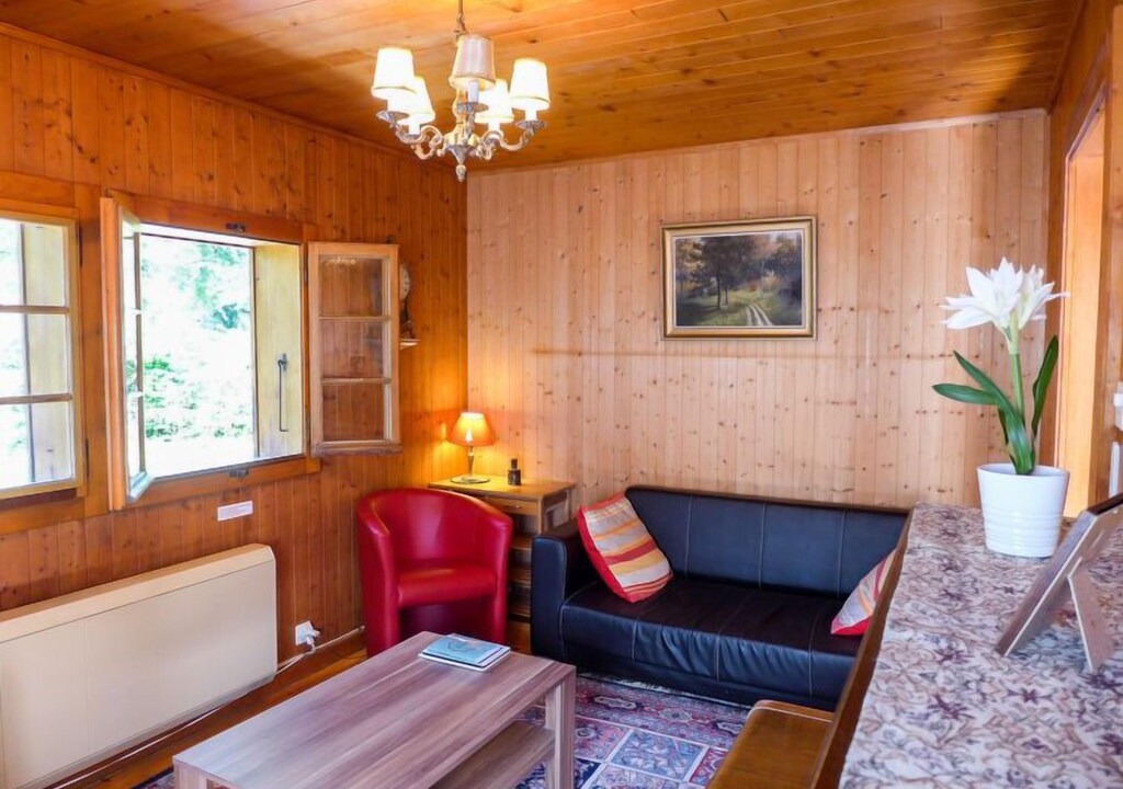 Photo of Livingroom in Barboleusaz
