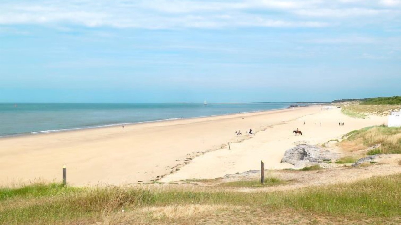 Photo of Others in Saint-Palais-sur-Mer