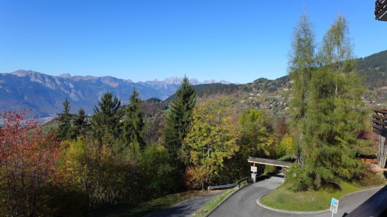 Photo of Others in Villars-sur-Ollon