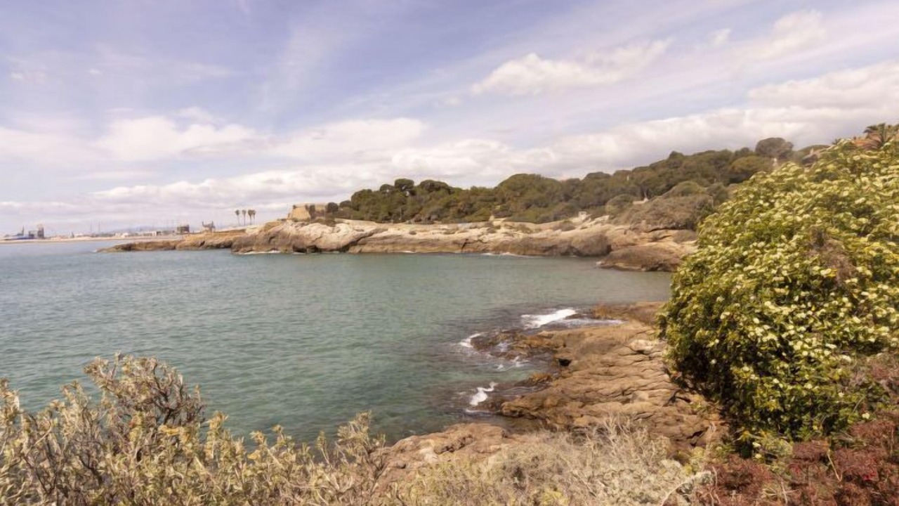 Photo of Outdoor in Riumar