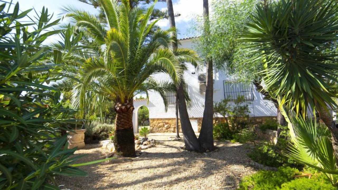 Photo of Outdoor in La Nucia