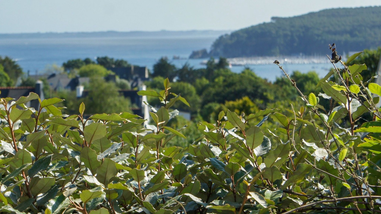 Photo of Others in Crozon