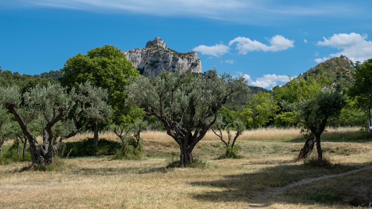 Photo of Others in Eyragues