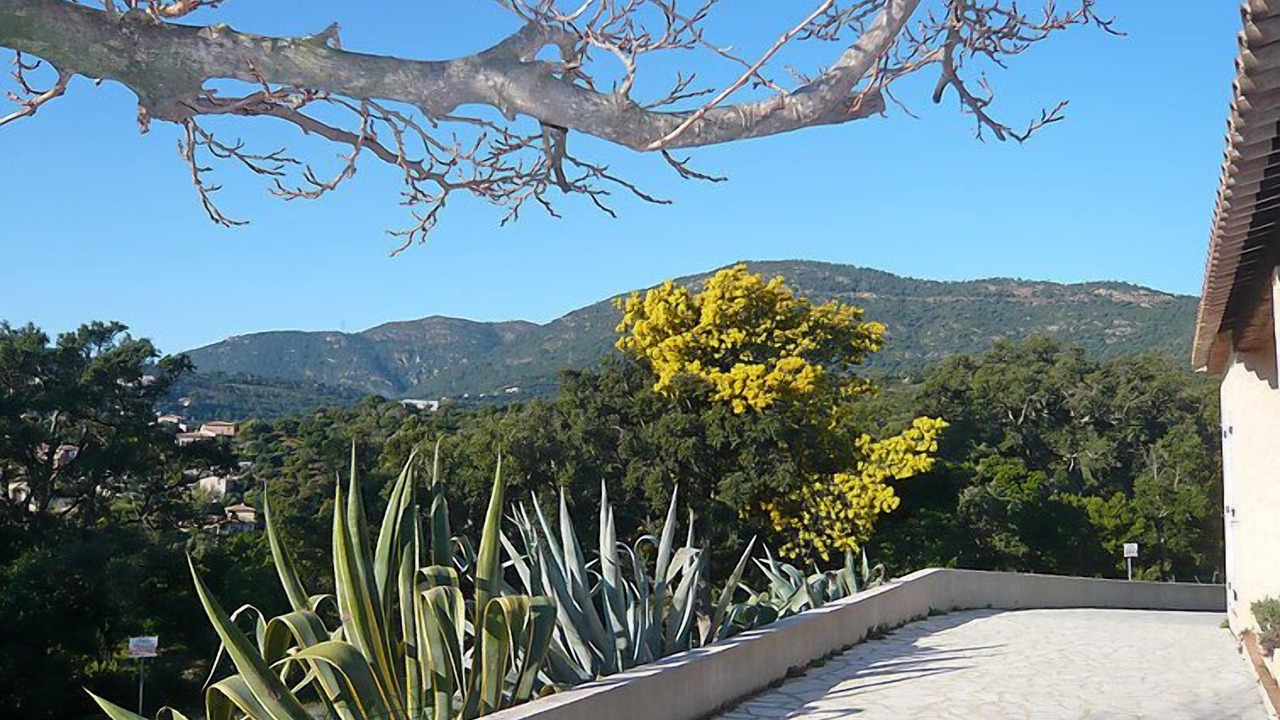 Photo of Outdoor in Cavalaire-sur-Mer