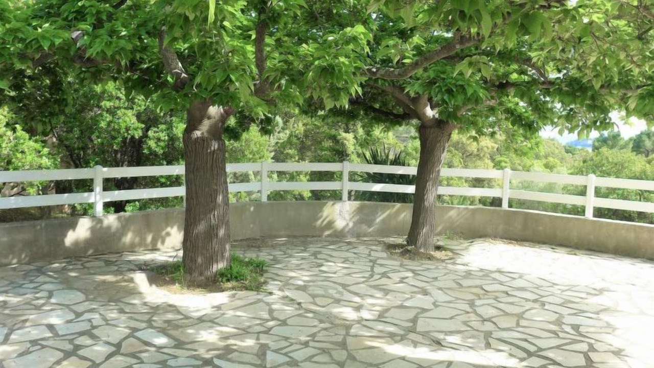 Photo of Outdoor in Cavalaire-sur-Mer