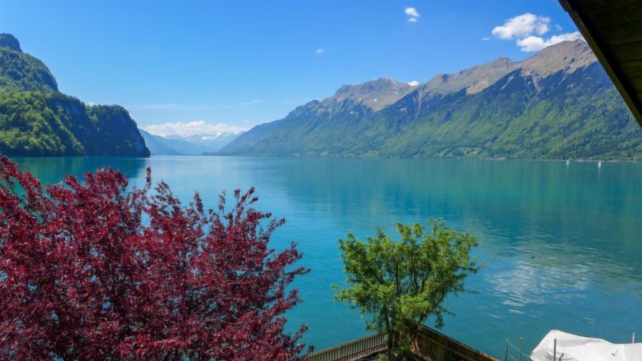 Photo of Others in Brienz