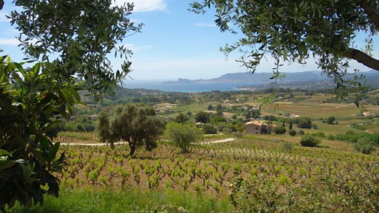 Photo of Others in La Cadiere-d'Azur