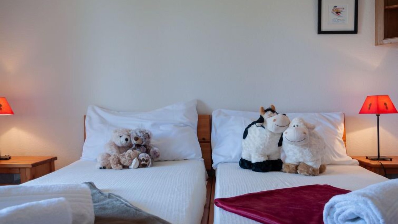 Photo of Livingroom in Nendaz