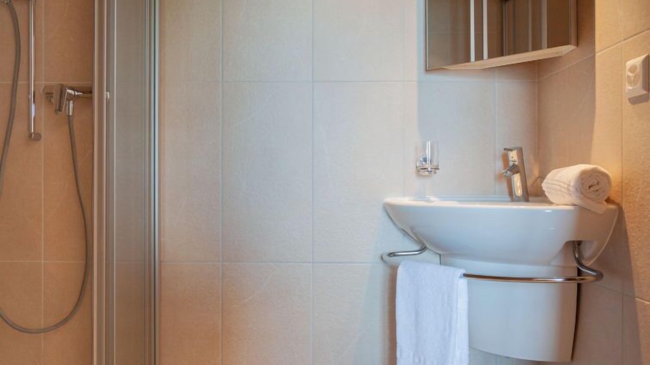 Photo of Bathroom in Nendaz