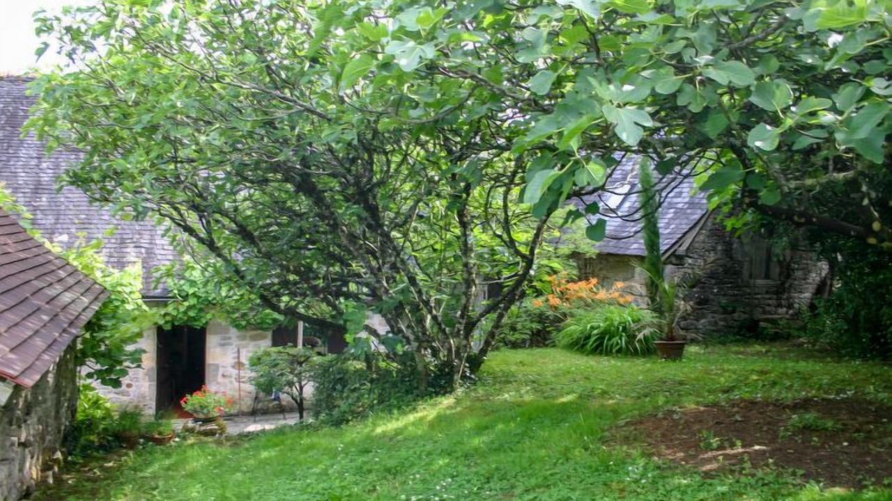 Photo of Outdoor in Turenne