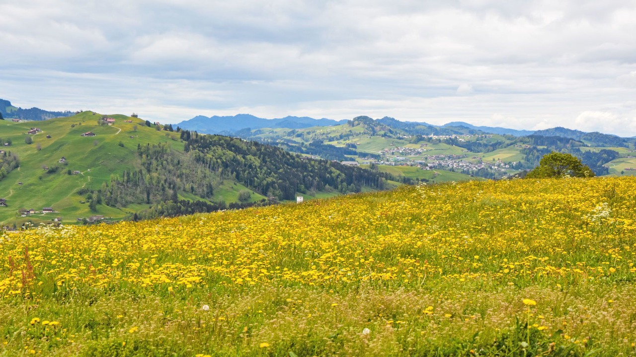 Photo of Others in Schlatt-Haslen