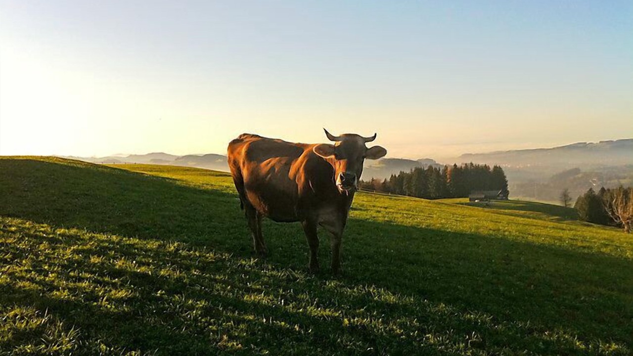 Photo of Others in Schlatt-Haslen