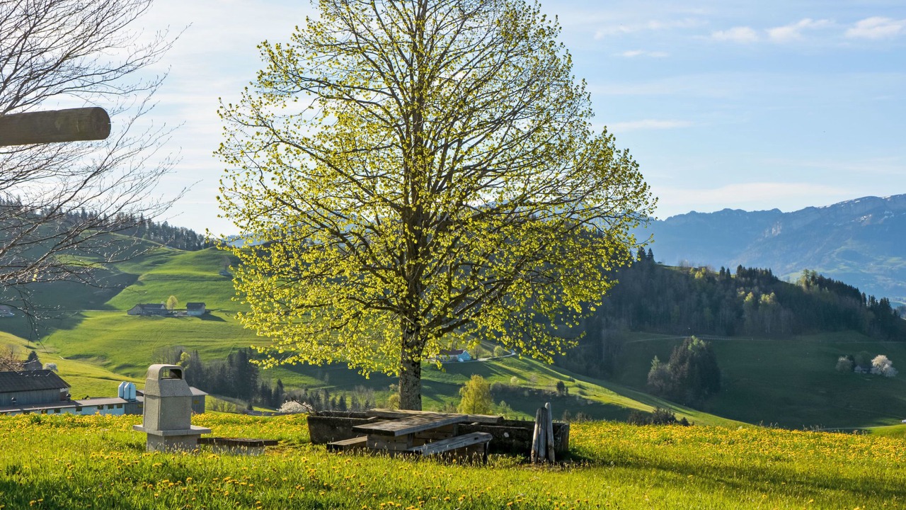 Photo of Outdoor in Schlatt-Haslen