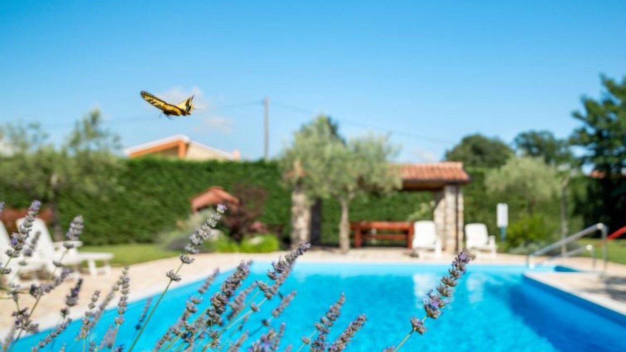 Photo of Outdoor in Gedici