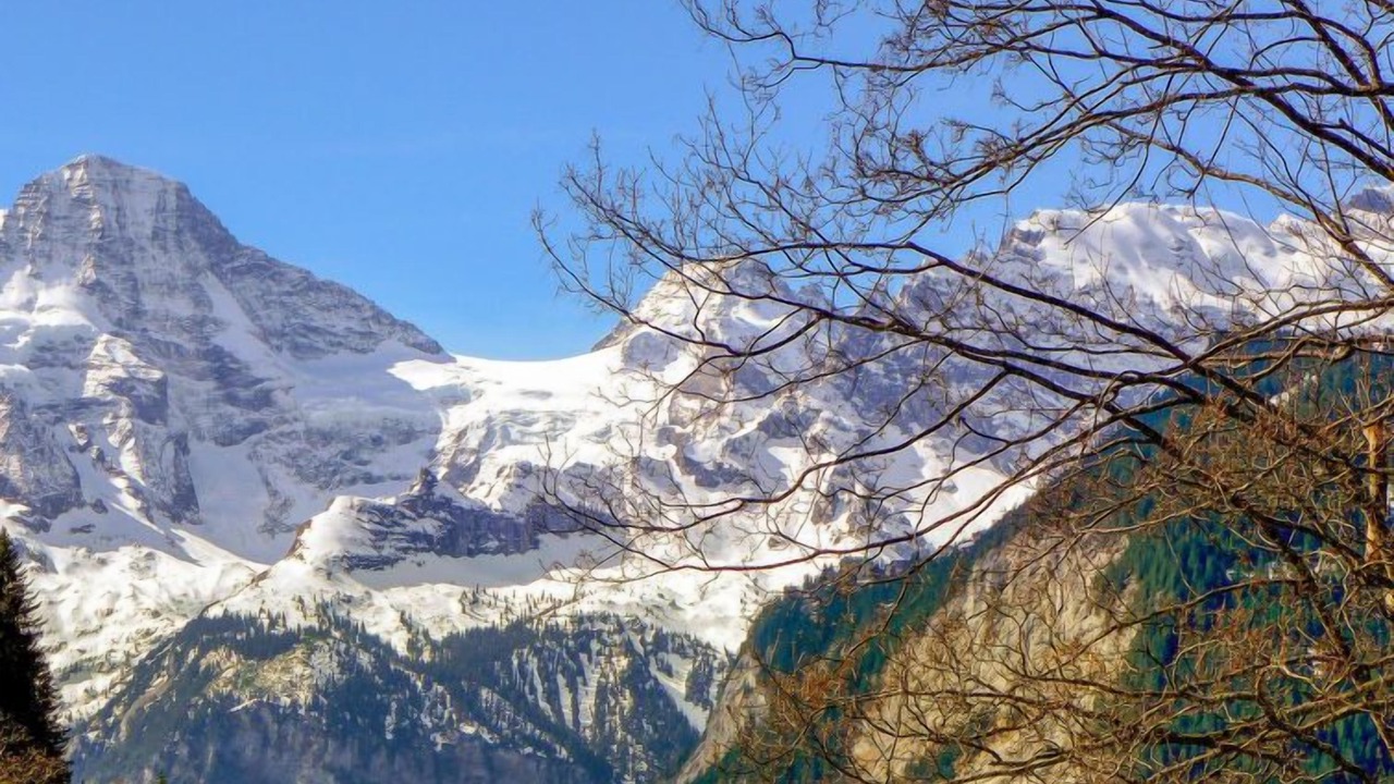 Photo of Others in Wengen