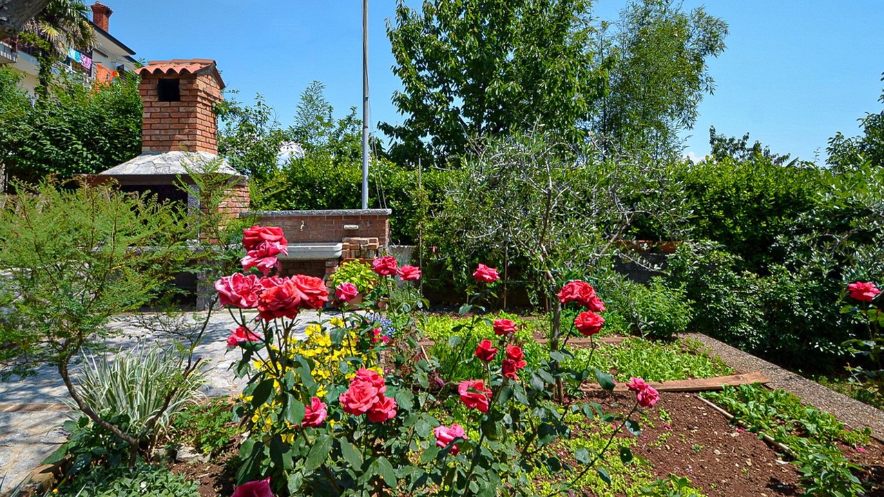 Photo of Outdoor in Pobri