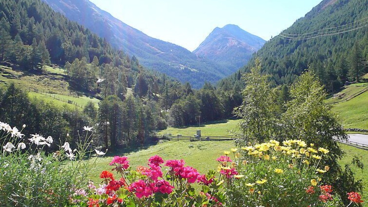 Photo of Outdoor in Saas Grund