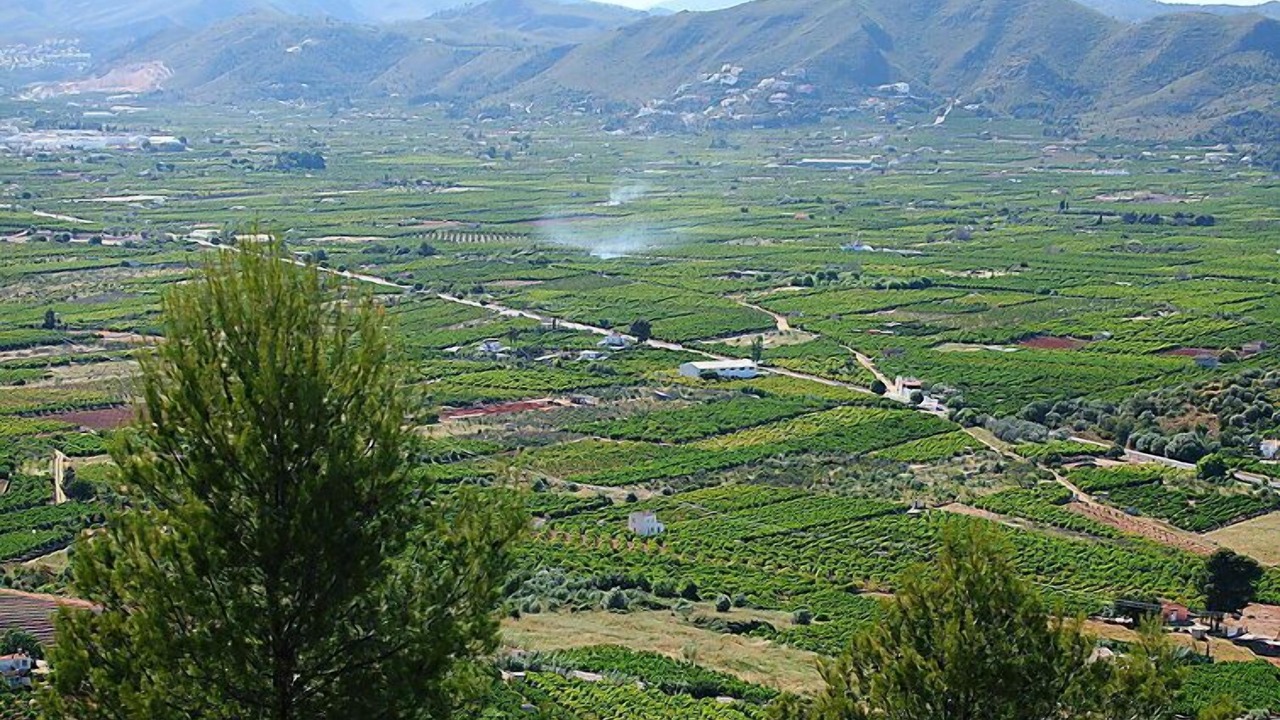 Photo of Others in Pego