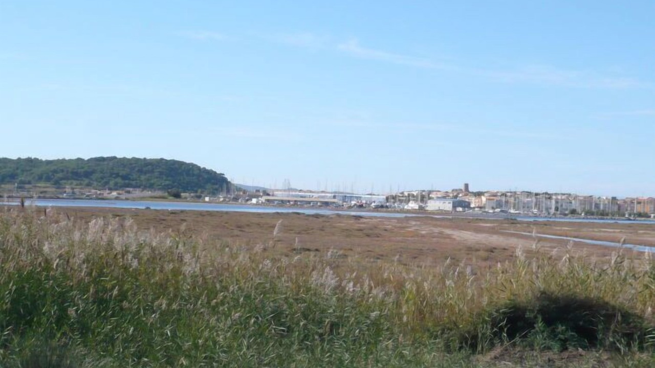 Photo of Others in Gruissan