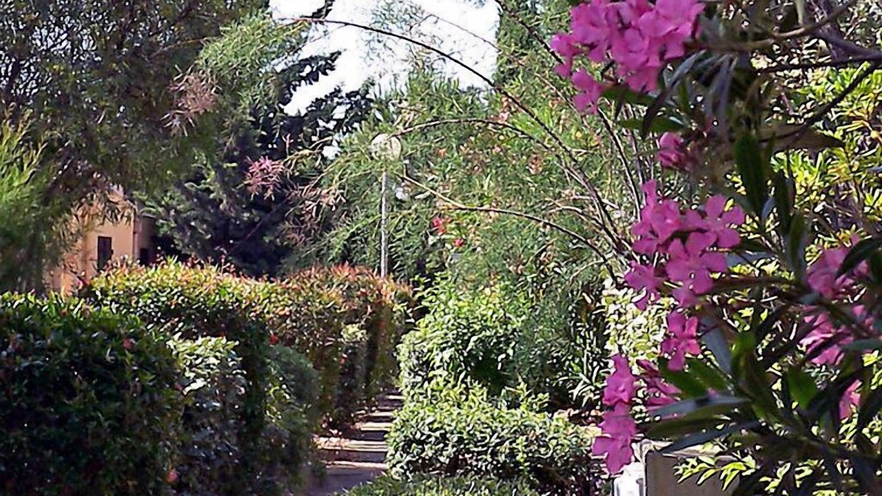 Photo of Others in Gruissan