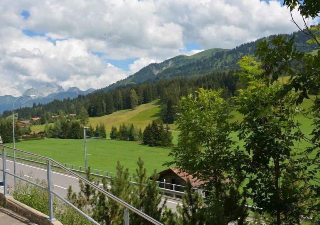 Photo of Outdoor in Saanenmoeser