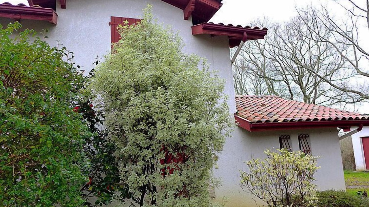 Photo of Others in Saint-Pee-sur-Nivelle