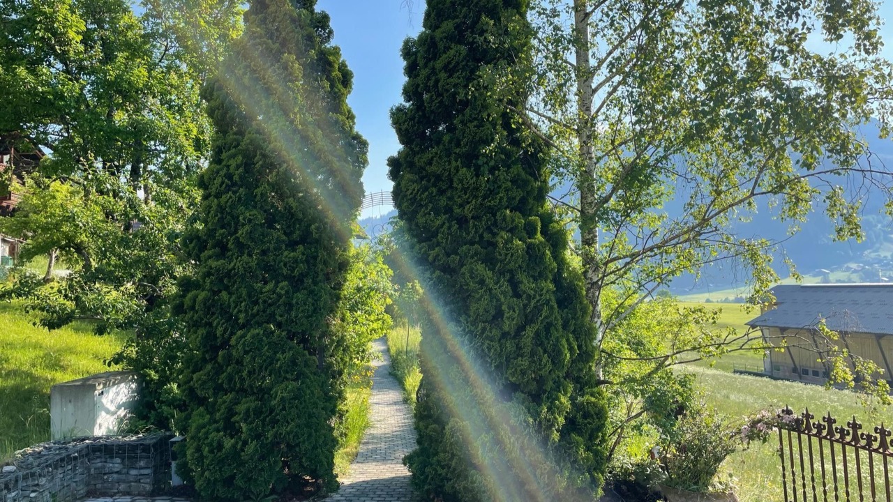 Photo of Outdoor in Zweisimmen