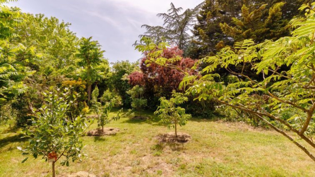 Photo of Outdoor in Olonne-sur-Mer