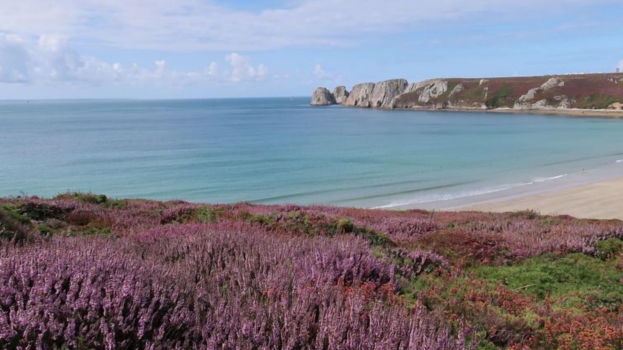 Photo of Others in Roscanvel