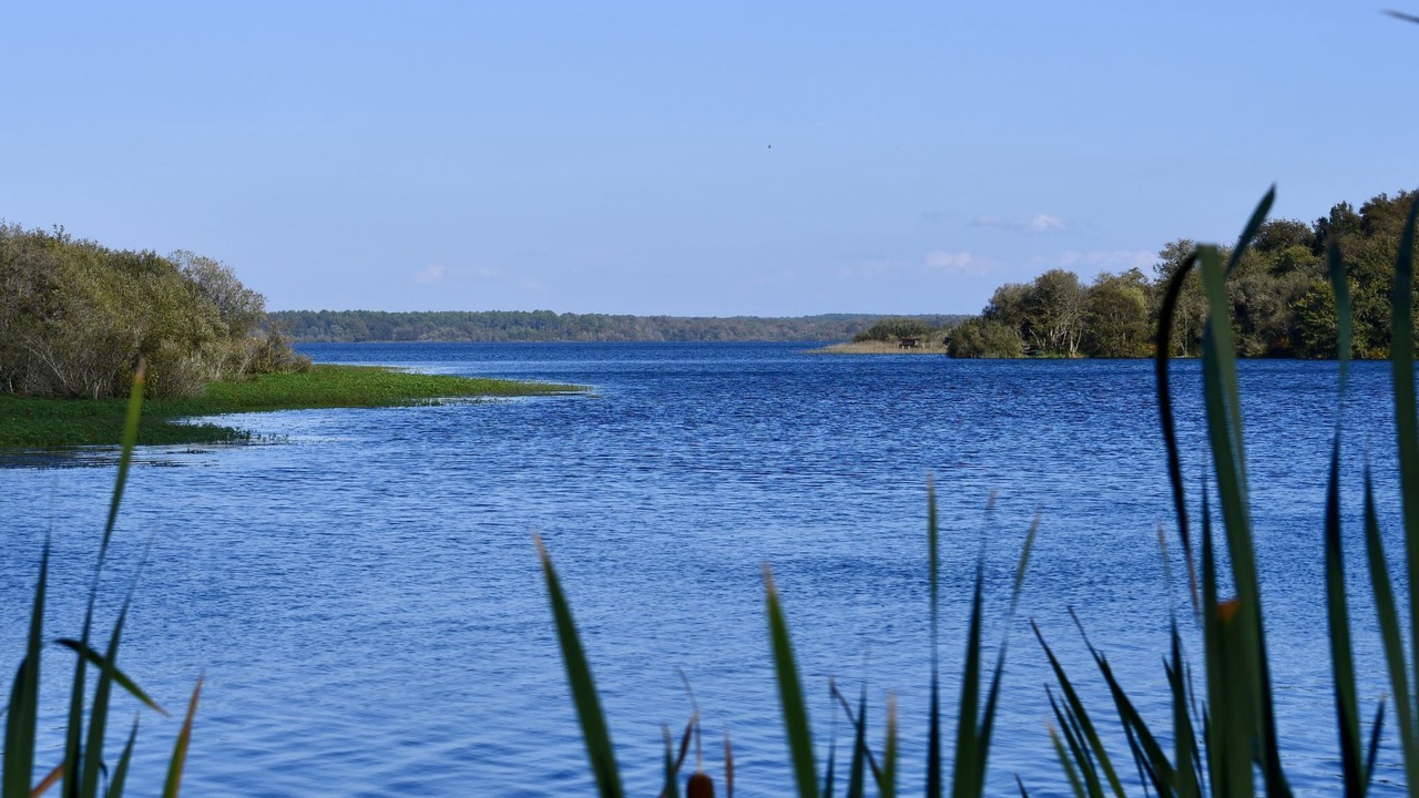 Photo of Others in Mimizan