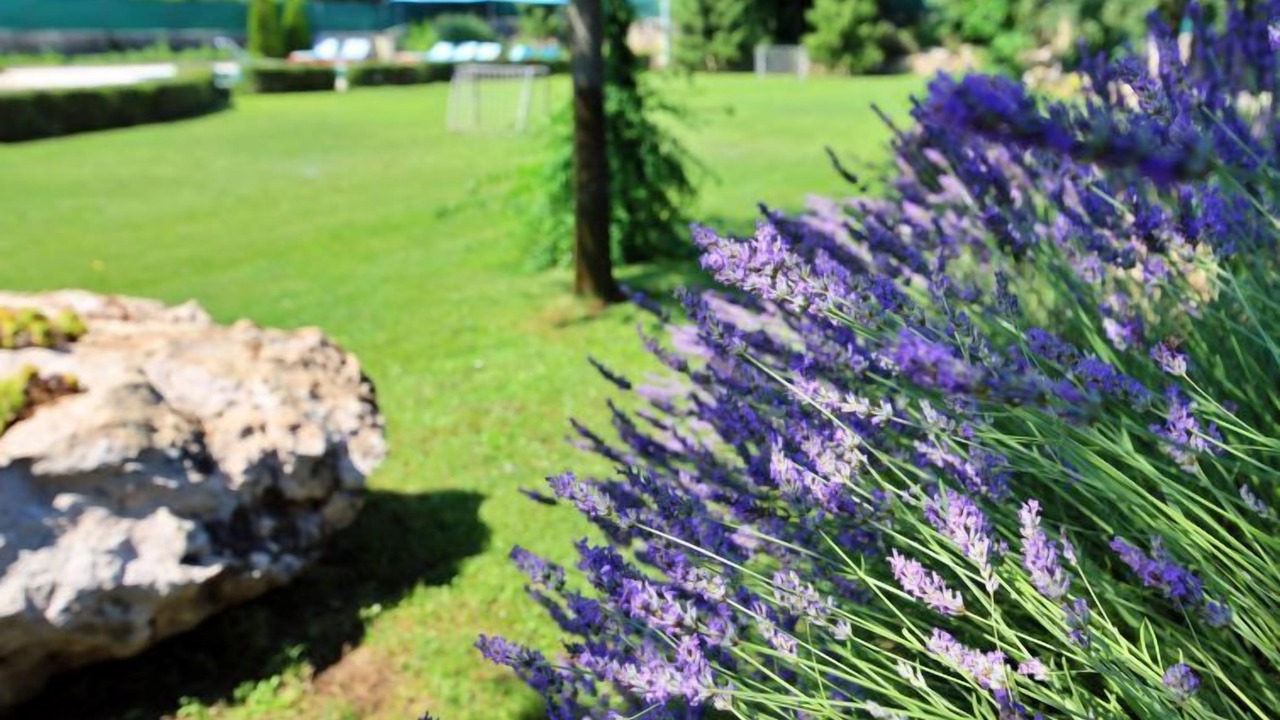 Photo of Outdoor in Caporice