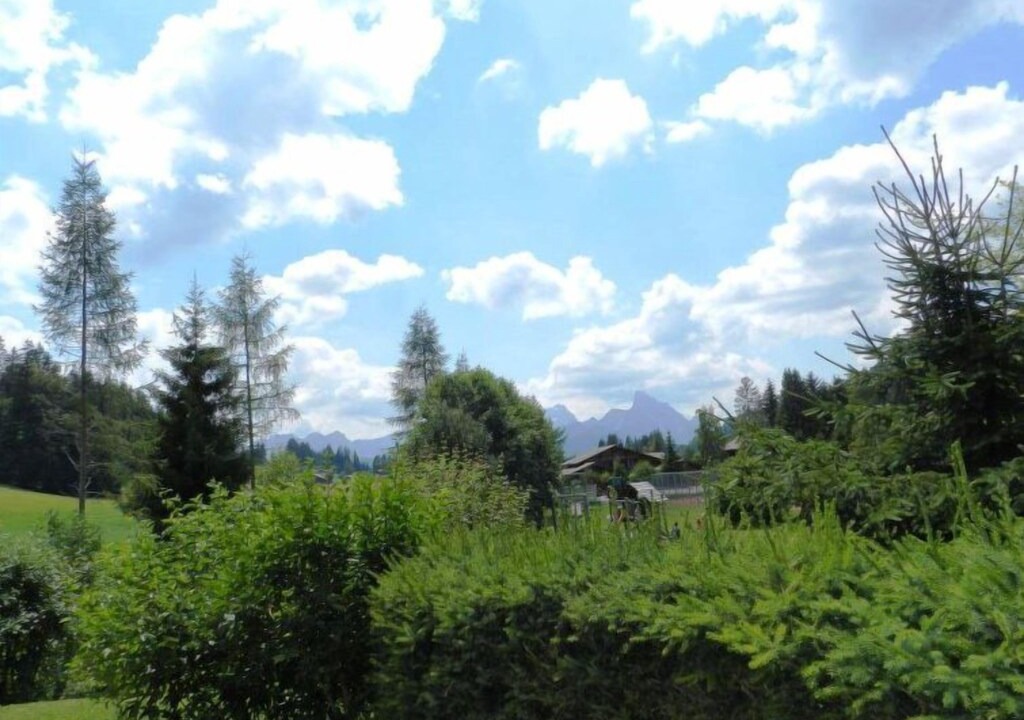 Photo of Outdoor in Saanenmoeser