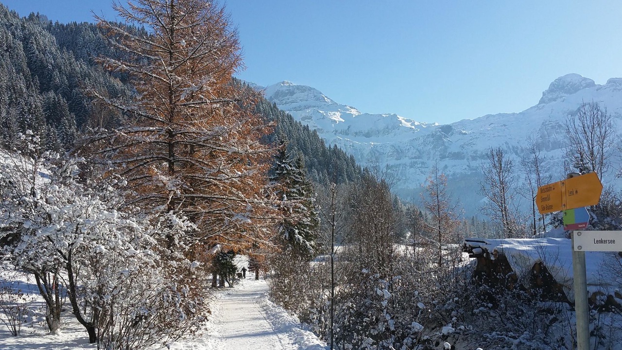 Photo of Outdoor in Lenk