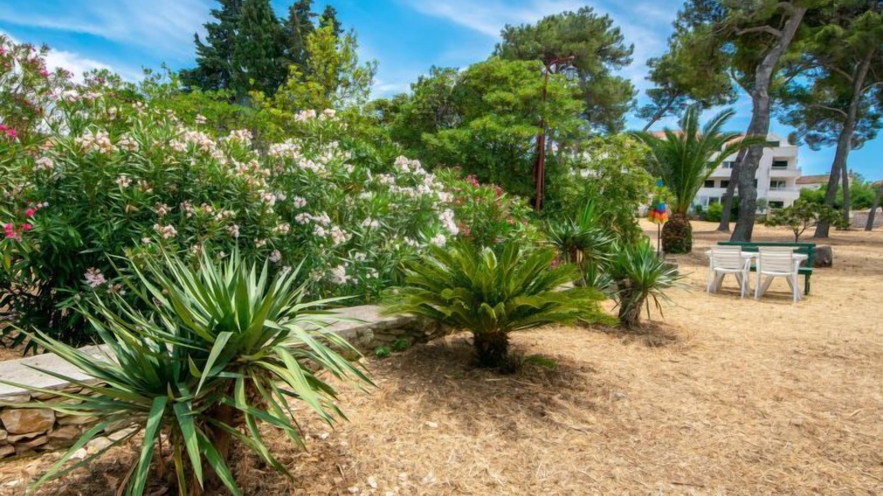 Photo of Outdoor in Sutivan