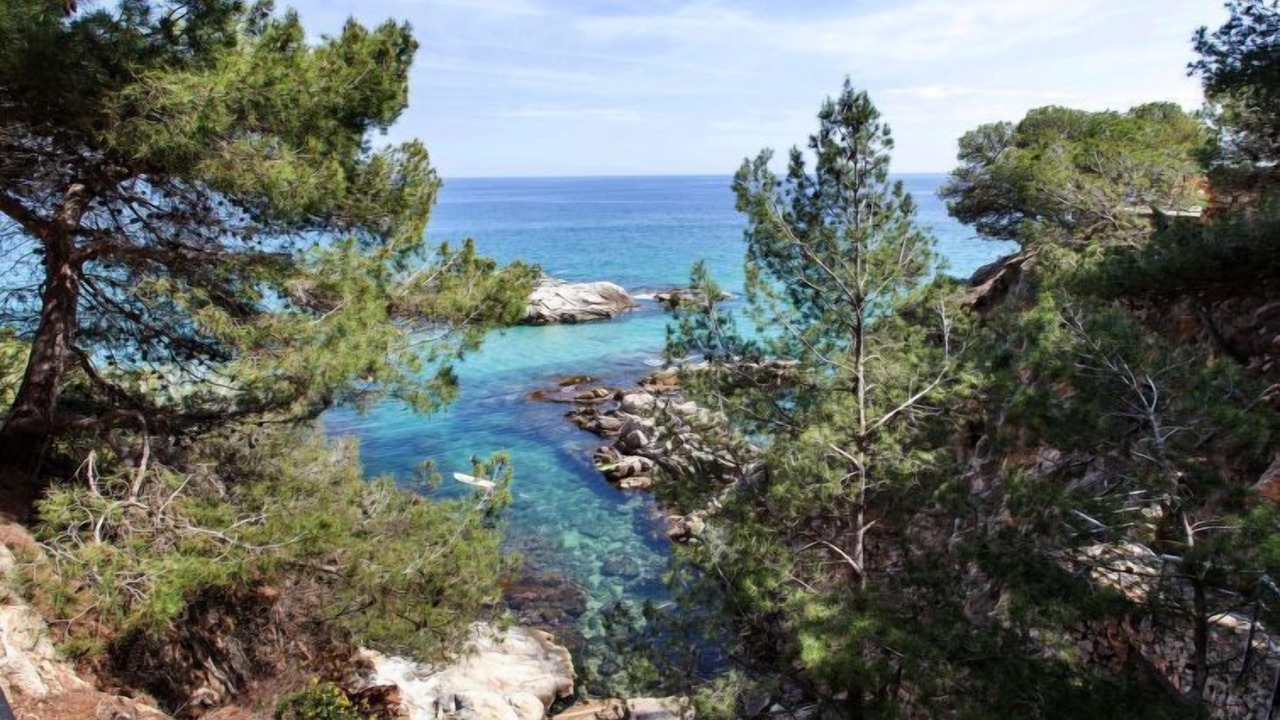 Photo of Outdoor in Calonge